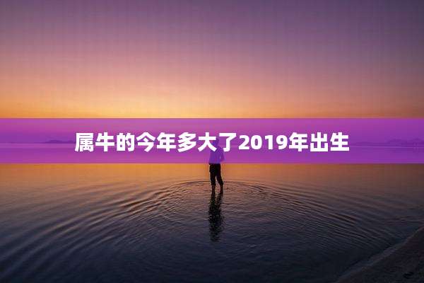 属牛的今年多大了2019年出生