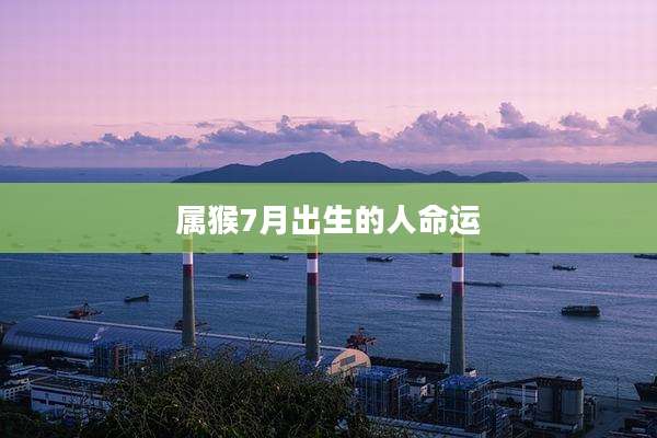 属猴7月出生的人命运