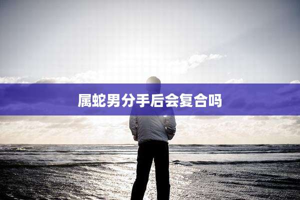 属蛇男分手后会复合吗