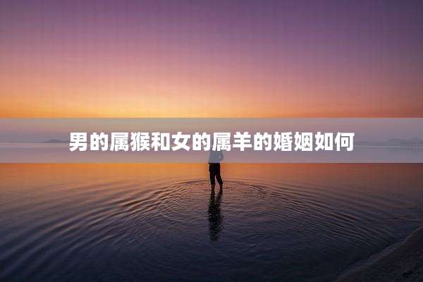 男的属猴和女的属羊的婚姻如何