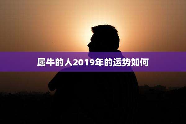 属牛的人2019年的运势如何