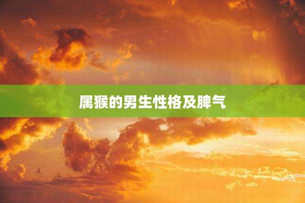 属猴的男生性格及脾气