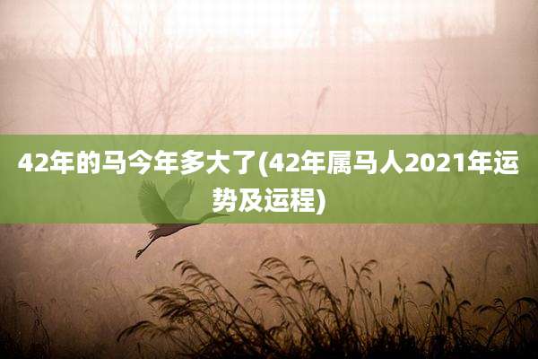 42年的马今年多大了(42年属马人2021年运势及运程)