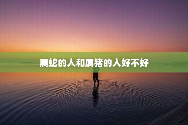 属蛇的人和属猪的人好不好