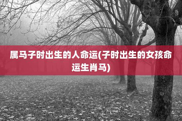 属马子时出生的人命运(子时出生的女孩命运生肖马)