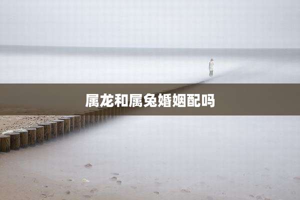 属龙和属兔婚姻配吗