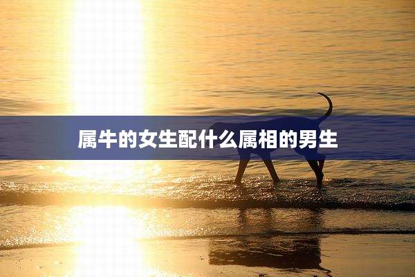 属牛的女生配什么属相的男生