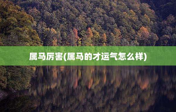 属马厉害(属马的才运气怎么样)