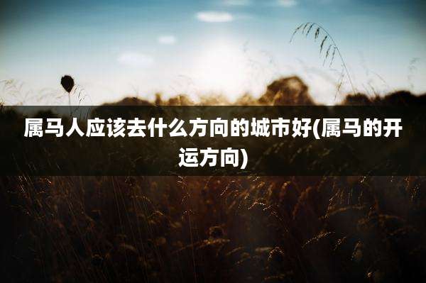 属马人应该去什么方向的城市好(属马的开运方向)