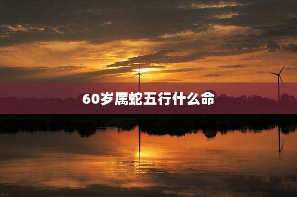 60岁属蛇五行什么命