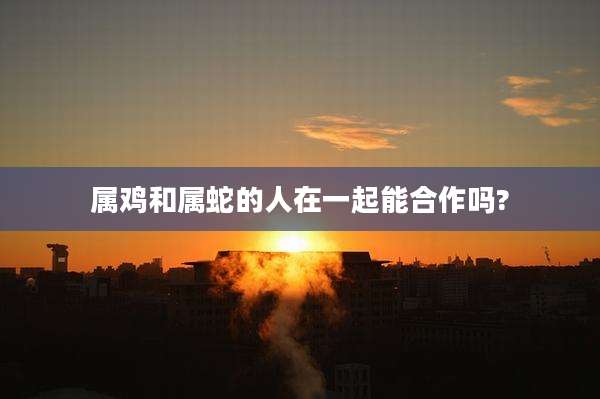 属鸡和属蛇的人在一起能合作吗?