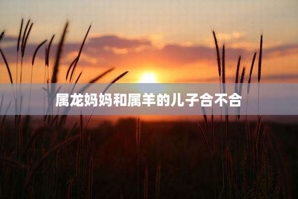 属龙妈妈和属羊的儿子合不合