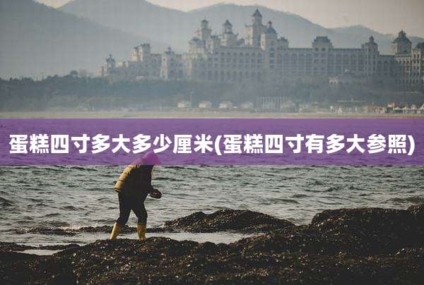 蛋糕四寸多大多少厘米(蛋糕四寸有多大参照)