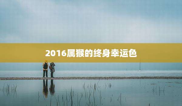2016属猴的终身幸运色