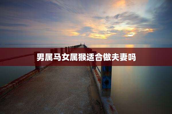 男属马女属猴适合做夫妻吗