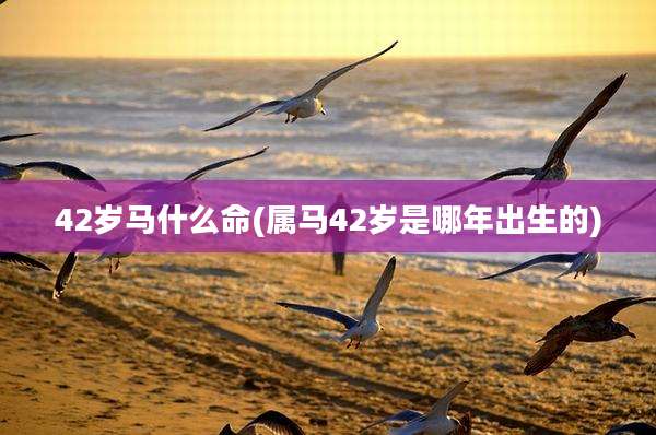 42岁马什么命(属马42岁是哪年出生的)