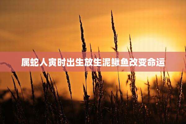 属蛇人寅时出生放生泥鳅鱼改变命运