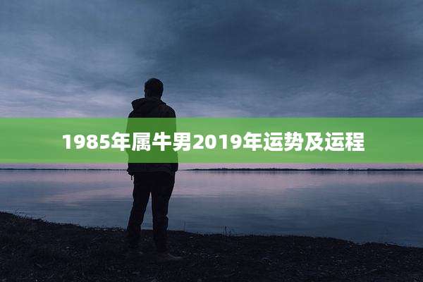 1985年属牛男2019年运势及运程