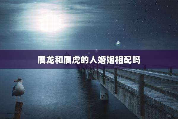 属龙和属虎的人婚姻相配吗