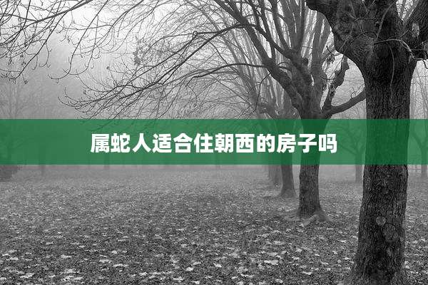 属蛇人适合住朝西的房子吗