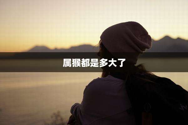 属猴都是多大了