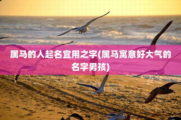 属马的人起名宜用之字(属马寓意好大气的名字男孩)