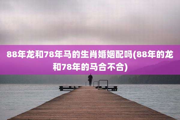 88年龙和78年马的生肖婚姻配吗(88年的龙和78年的马合不合)