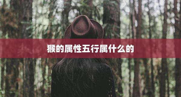 猴的属性五行属什么的