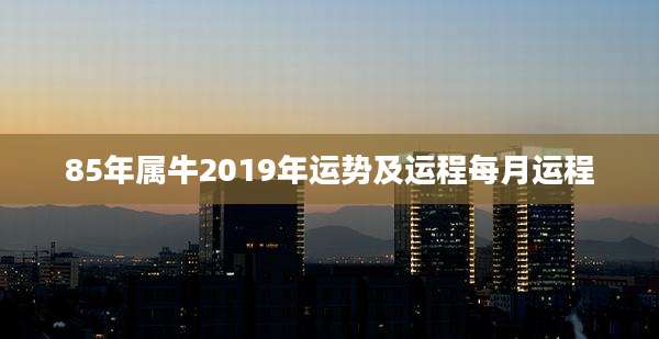 85年属牛2019年运势及运程每月运程