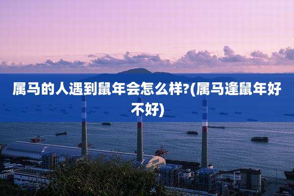 属马的人遇到鼠年会怎么样?(属马逢鼠年好不好)