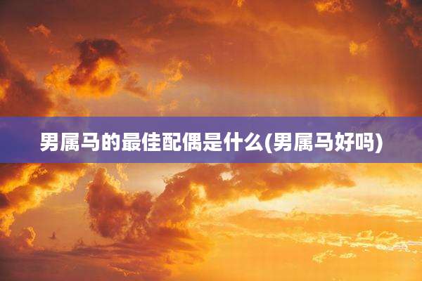 男属马的最佳配偶是什么(男属马好吗)