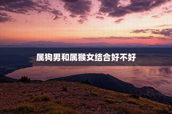 属狗男和属猴女结合好不好