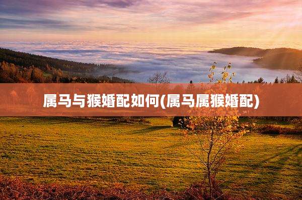 属马与猴婚配如何(属马属猴婚配)