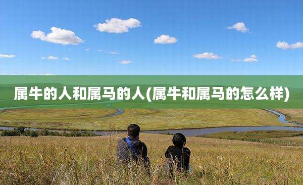 属牛的人和属马的人(属牛和属马的怎么样)