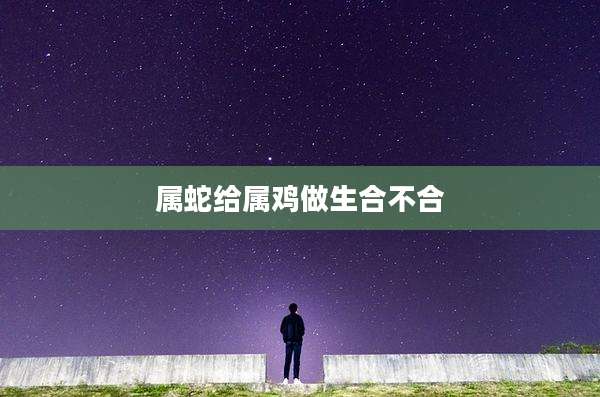 属蛇给属鸡做生合不合