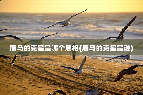 属马的克星是哪个属相(属马的克星是谁)