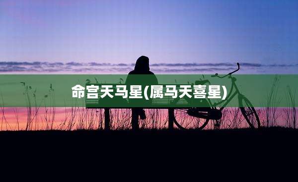 命宫天马星(属马天喜星)