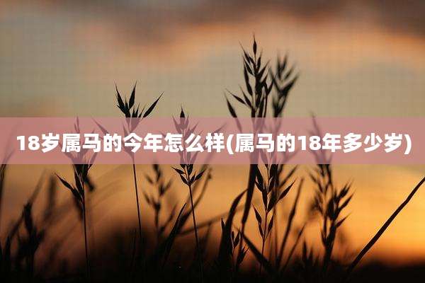 18岁属马的今年怎么样(属马的18年多少岁)