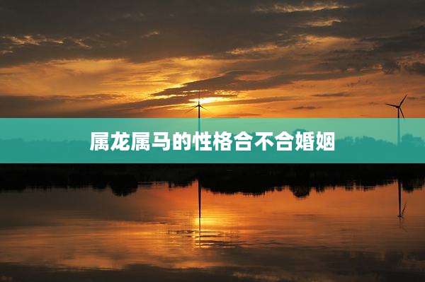 属龙属马的性格合不合婚姻