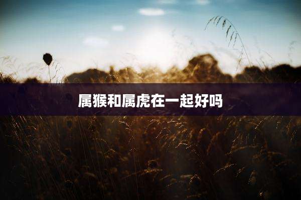 属猴和属虎在一起好吗