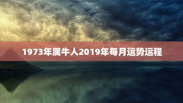 1973年属牛人2019年每月运势运程