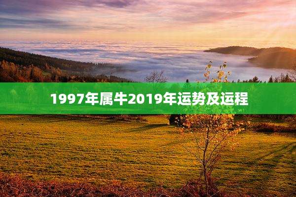 1997年属牛2019年运势及运程