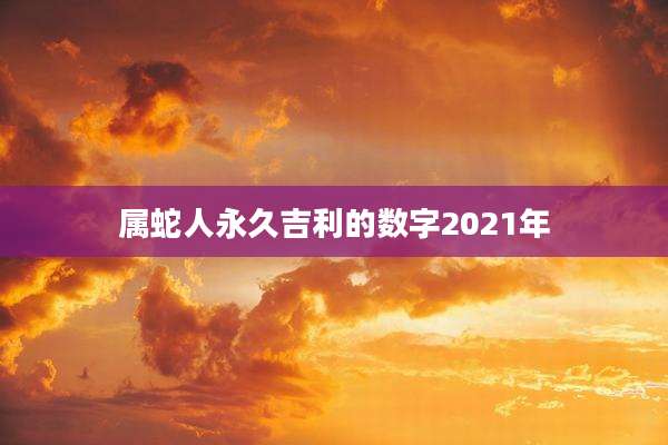 属蛇人永久吉利的数字2021年
