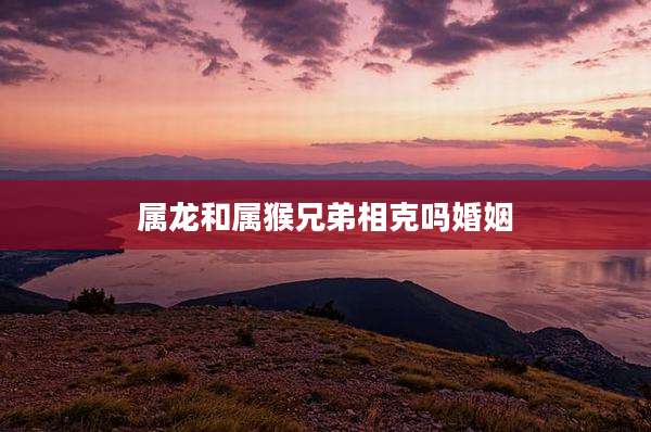 属龙和属猴兄弟相克吗婚姻