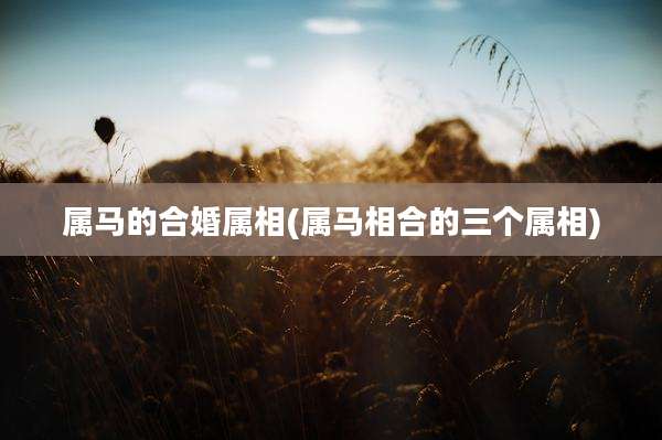 属马的合婚属相(属马相合的三个属相)