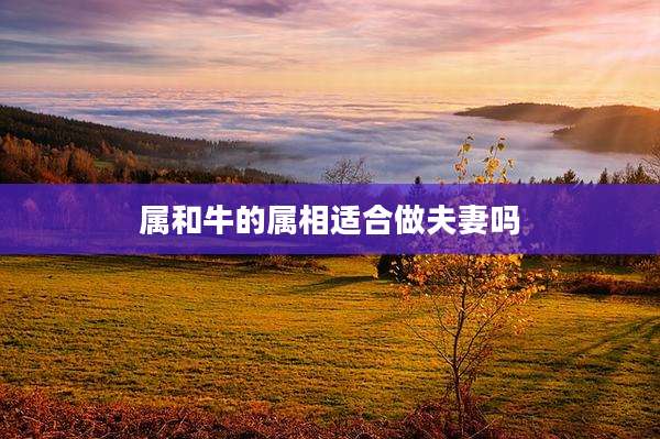 属和牛的属相适合做夫妻吗