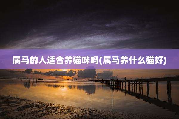 属马的人适合养猫咪吗(属马养什么猫好)