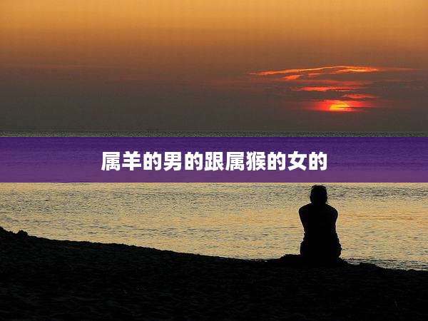 属羊的男的跟属猴的女的