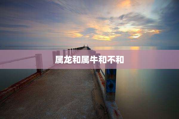属龙和属牛和不和