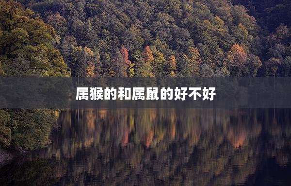 属猴的和属鼠的好不好